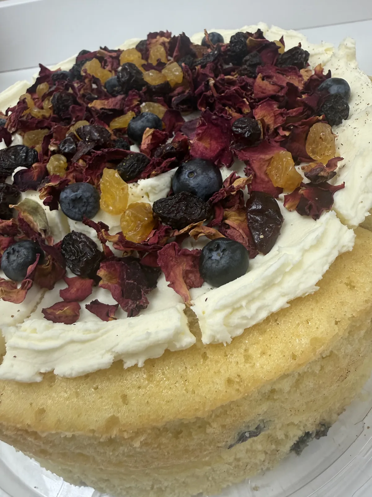 Round sponge cake topped with cream, blueberries, cherries and dried fruit